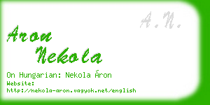 aron nekola business card